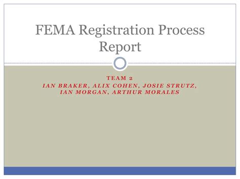 Image result for FEMA Process Flow