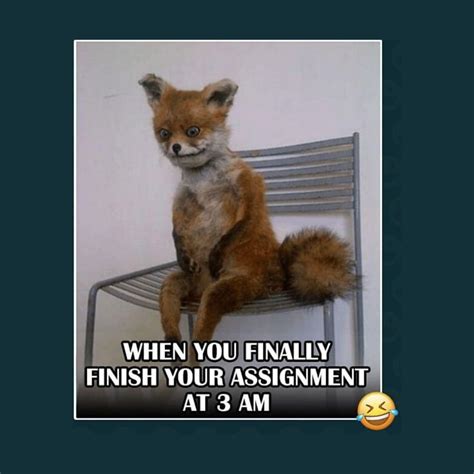 Image result for Assignment Complete Meme