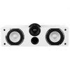 Taga Harmony Platinum C-90 SL Center Speaker and...