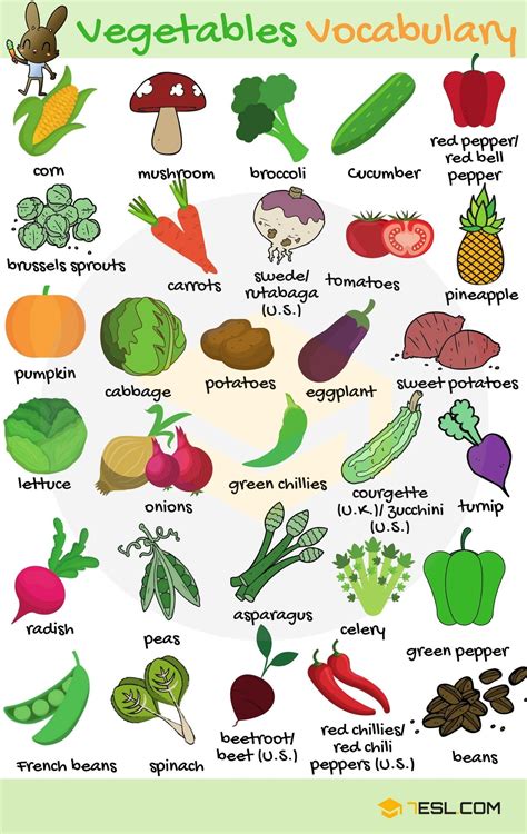 Vegetables List Marathi at Arnetta Parker blog