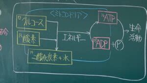 Learn OS Module Python From Beginning に対する画像結果
