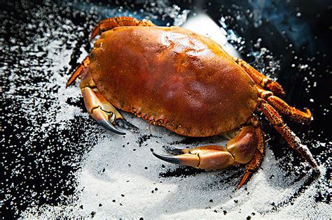 被误解的熟冻面包蟹，89.9%的人完全吃错了，不是所有的蟹都能蒸！ - 知乎