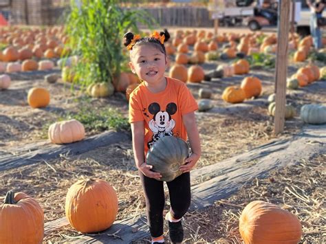 THINGS TO DO IN ORANGE COUNTY THIS FALL - Grand Legacy at the Park