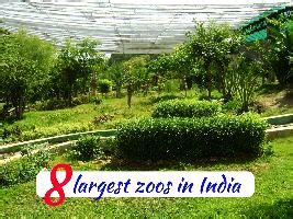 8 Largest Zoos In The World - Hello Travel Buzz