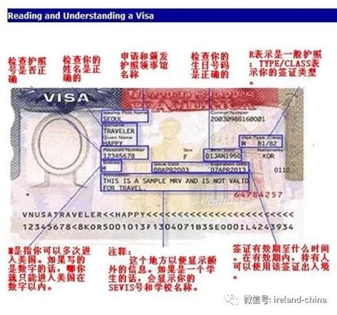 美国签证号在哪里图片