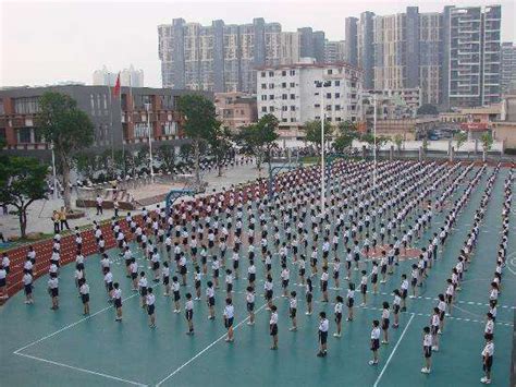 东莞市莞城中心小学分校_东莞阳光网