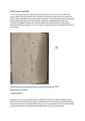 Image result for Ruler Drop Test Average