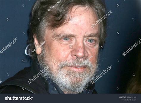 Mark Hamill 2022 Beard