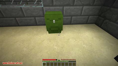 Backpack Mod 1.16.5 的图像结果