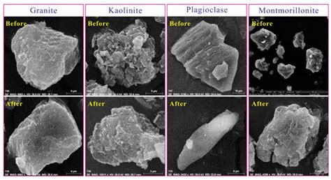 Experimental Study of the Activation Effect of Oxalic Acid on the ...