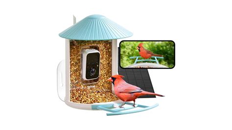 The Bird Buddy Smart Bird Feeder is steeply discounted for Amazon Prime Day