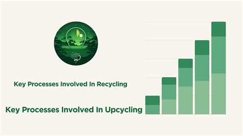 Upcycling vs Recycling: The Environmental Impact and Benefits