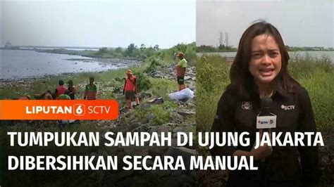 Tumpukan Sampah di Pesisir Marunda Kepu Dibersihkan, Air Surut Sampah ...
