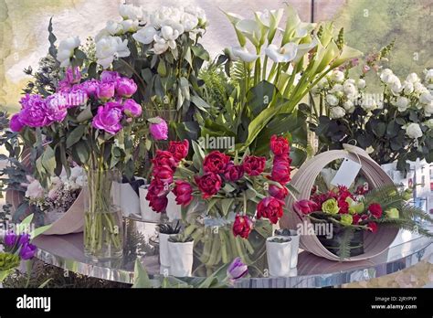 Image result for Composition of Flowers Tutorial