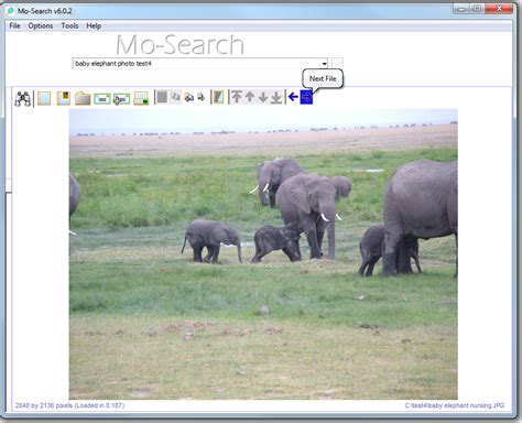 how to search on moozonian.com search engine