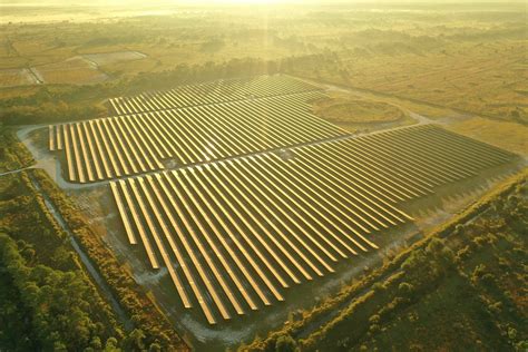 Career Opportunities | Moss