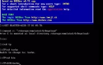 Install Turbo Pascal 的图像结果