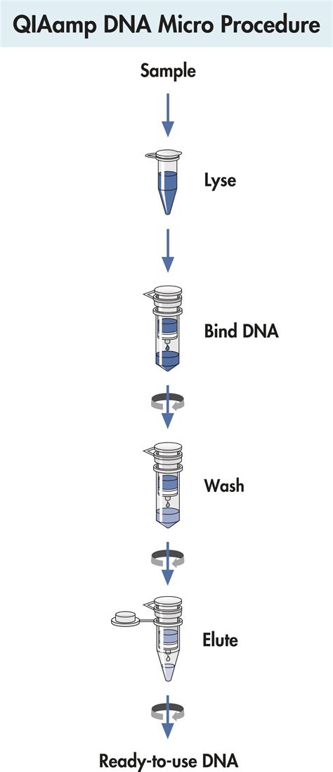 QIAamp DNA Kits | Isolement de l’ADN génomique | QIAGEN