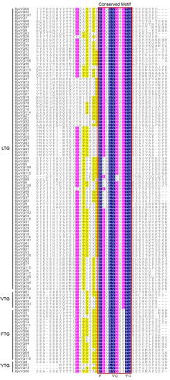 Comprehensive Identification and Expression Profiling of the VQ Motif ...