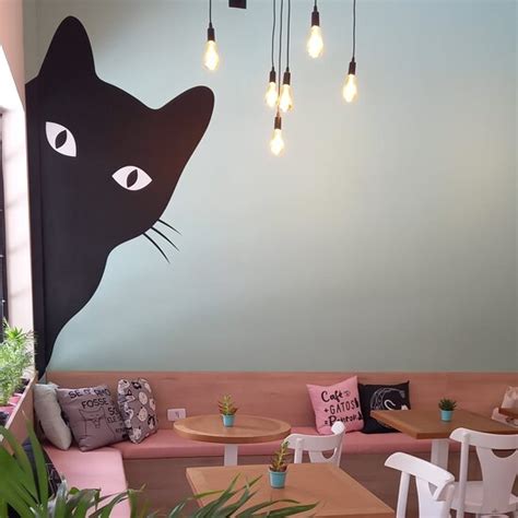 RONRON CAT CAFE, Sao Paulo - Restaurant Reviews, Phone Number & Photos ...