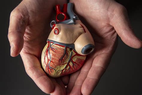 Buy Local Heart 的图像结果