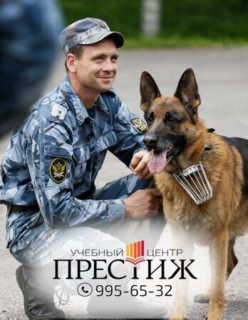Курсы кинолога в Санкт-Петербурге