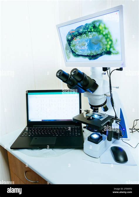 Image result for Setting UPS Digital Microscope to a Computer
