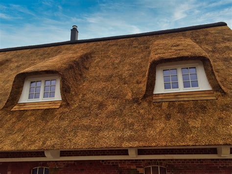 Ausbau eines Stallgebäudes mit Reetdach - Zimmerei Zeller