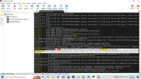 Inicialización de pentaho - Installation - LinceBI