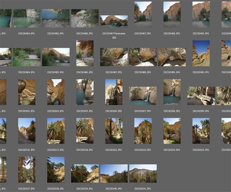 Image result for Oasis Texture Pack Download for Minecraft Java Edition