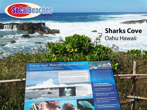 "Sharks Cove" Showcases North Shore Oahu Coatal Beauty