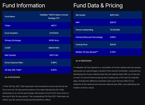 MSTY: Look Beyond The Yield (NYSEARCA:MSTY) | Seeking Alpha