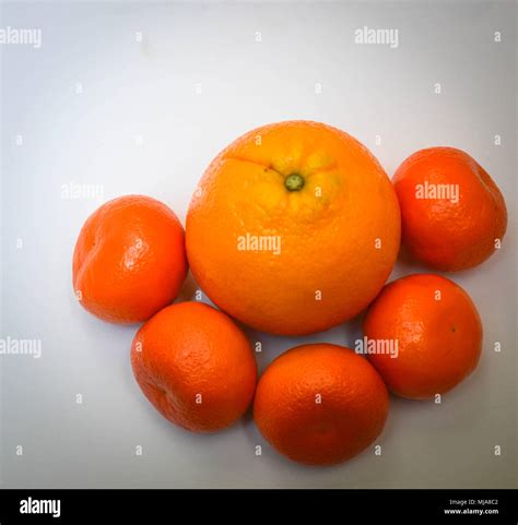 Mandarins and an Orange Stock Photo - Alamy