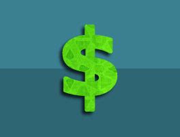 Image result for Learn P6 Software