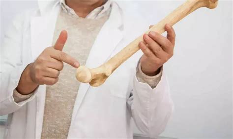 Innate immune training aggravates inflammatory bone loss, finds study