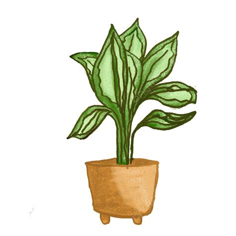 House Plants PNG Image, Plant House Clip Art, Plant House, Clip Art ...