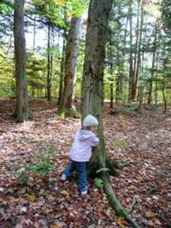 New Hartford Tourism (2024): All You Need to Know Before You Go