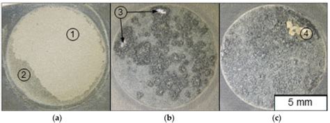 Two-Step Plasma Electrolytic Oxidation of Advanced High-Strength Steel ...
