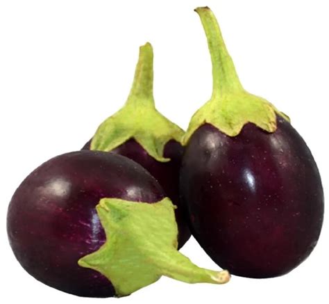 BRINJAL ROUND (BAINGAN BHARTA) – World Essentials LLP