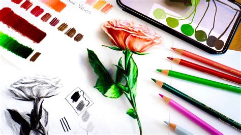 Tutorial Coler Draw 的图像结果