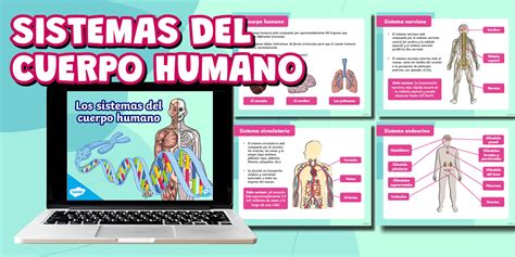 Presentación en PowerPoint: Sistemas del Cuerpo Humano