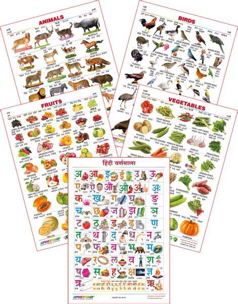 Spectrum Educational Wall Charts (Set of 5) : (Animals, Birds, Fruits ...