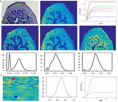 Spatial Analysis Variography 的图像结果