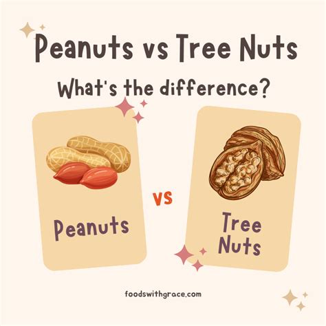 What Oils Are Safe For Nut Allergies? - Foods with Grace