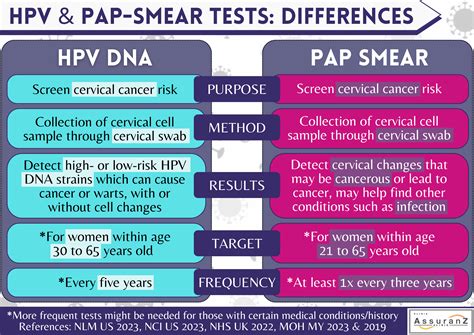 Structure of Pap Insurance 的图像结果