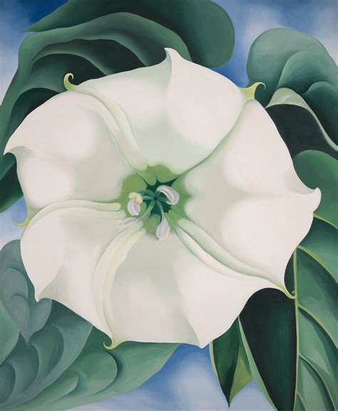 Tate Modern To Show Iconic Flower Painting By Georgia O’Keeffe