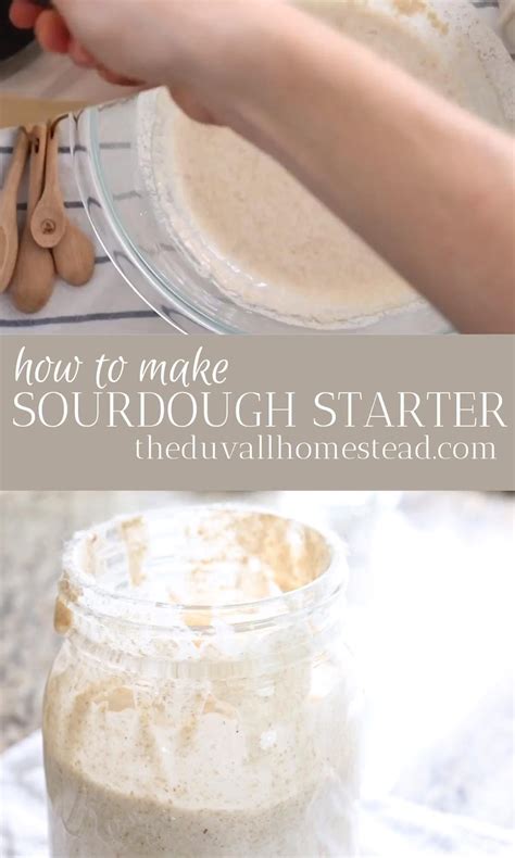Making an incredible sourdough starter from scratch in 7 easy steps ...
