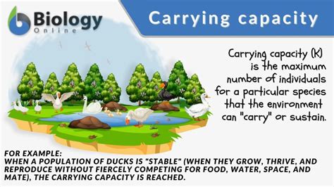 Image result for Carrying Capacity Example