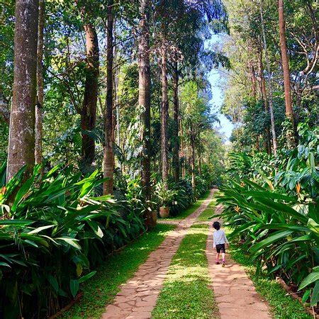 Sulthan Bathery Tourism (2024): All You Need to Know Before You Go