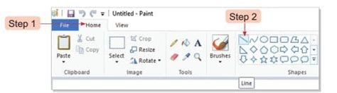 Introduction to Paint Chapter Notes - Computer Studies Class 2 ICSE PDF